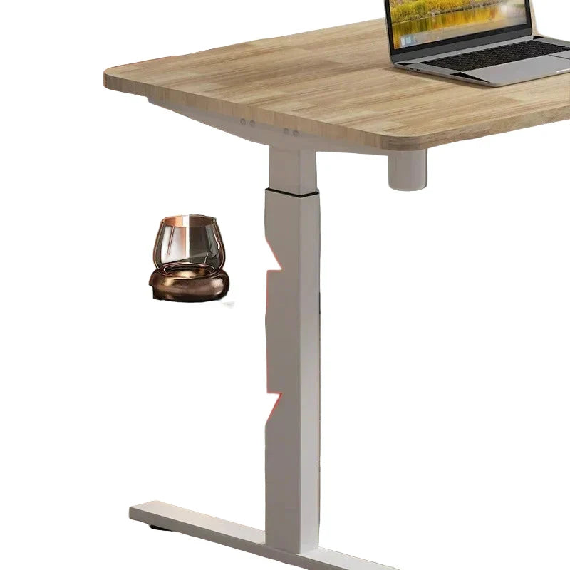 Elektrischer Höhenverstellbarer Schreibtisch – Steh- und Computertisch für Homeoffice – Eisen – 113 x 75 cm